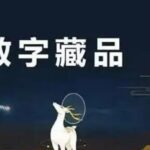 数字藏品的风口:NFT炒作者就是之前炒盲盒的吗？-软盟